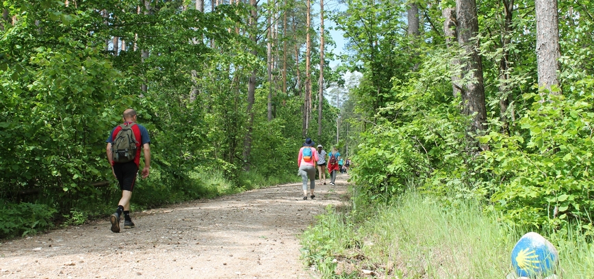 Šv. Jokūbo kelias Elektrėnų sav. 
