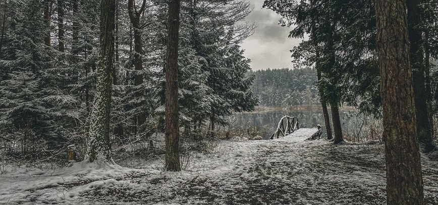 По русски - что это??? ❄️