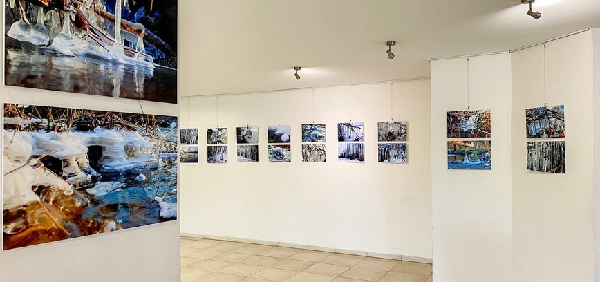 Violetos Debesienės fotografijų paroda ,,Pavasario akimirkos”