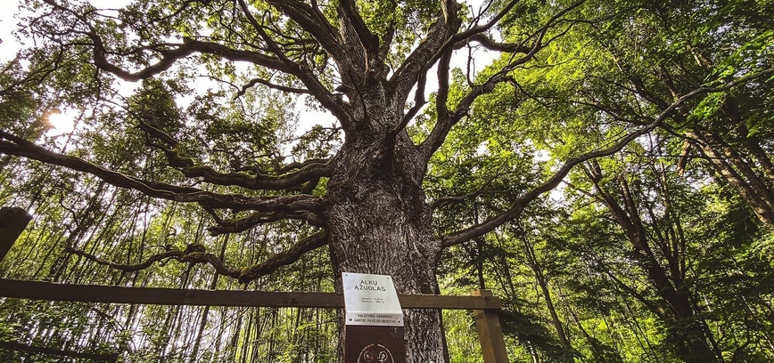 Grabijolai hiking trail