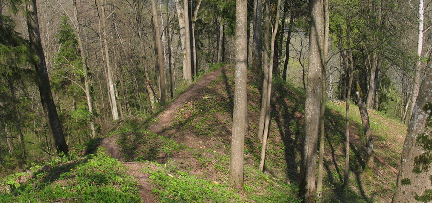 Paalkių piliakalnis