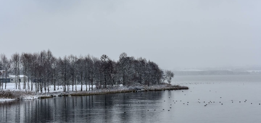 Vievio ežero pakrantė