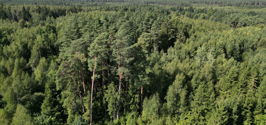 Latviai / Mitkiškės Hillfort aka the Castle Hill