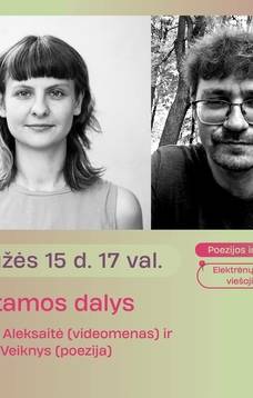 Trūkstamos dalys: Dainora Aleksaitė ir Aivaras Veiknys | FESTIVALIS ARS NOVA