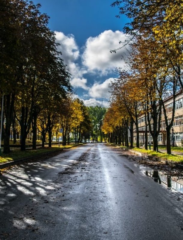 Aplink Elektrėnus dviračių takais